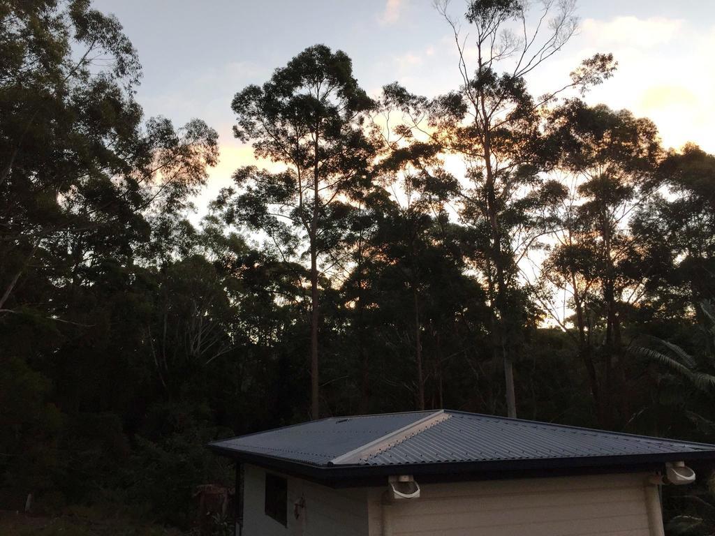 Mapleton Cabins & Caravan Park エクステリア 写真